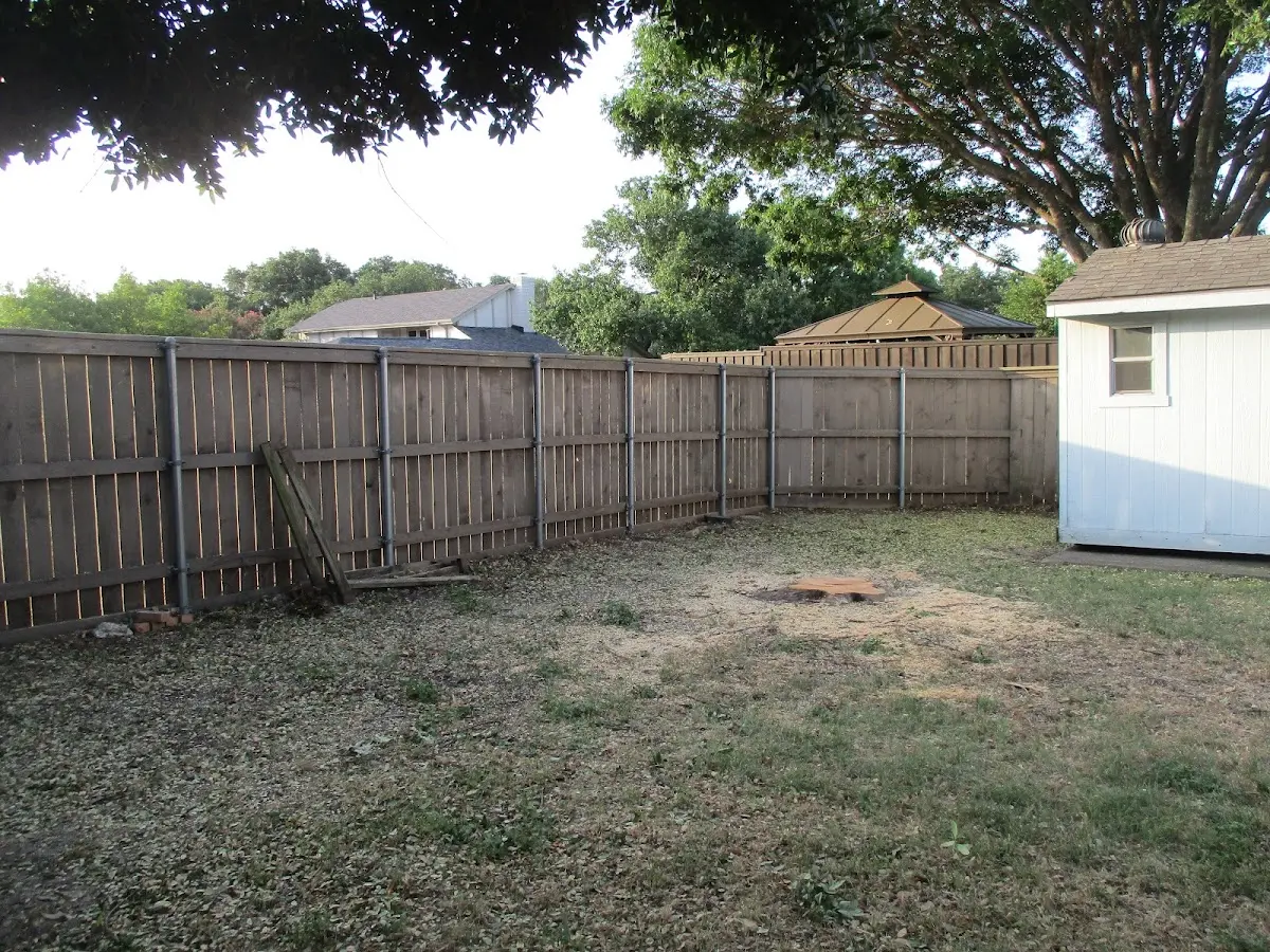 Cleared yard after professional tree removal in Pickwick Dam
